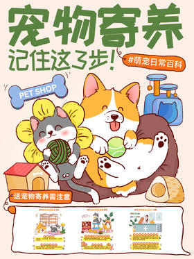 新手指南8-假期需要送宠物寄养记得注意这3步