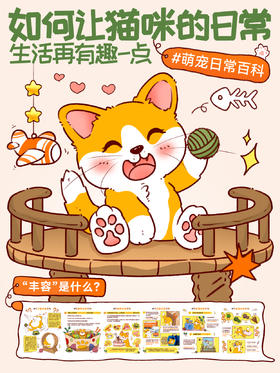 新手指南10-如何让猫咪的日常生活再有趣一点