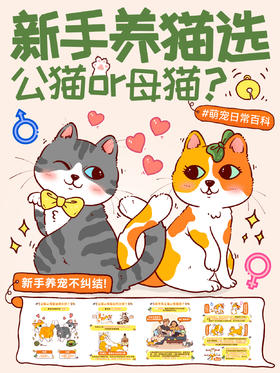 新手指南21-公猫好还是母猫好？新手养宠别纠结了！