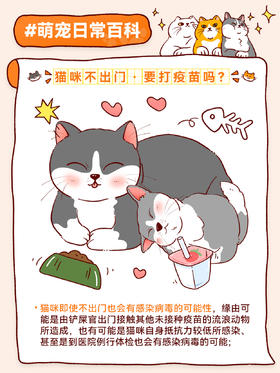 新手指南3-猫咪疫苗怎么打？