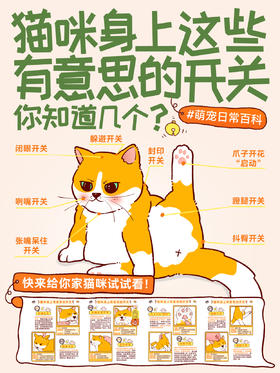 趣味小知识2-猫咪身上这些有意思的开关，你知道几个？