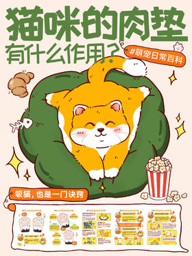 趣味小知识11-猫咪的爪子有什么作用？