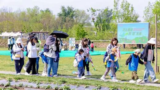 春生万物季｜敲有氧鼓唤醒土地、手作雷声器模拟惊蛰、挂果壳风铃召唤燕子、揉青团留住清明——三个节气，四件“带得走”的春天 商品图3