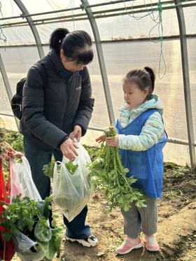 春生万物季｜敲有氧鼓唤醒土地、手作雷声器模拟惊蛰、挂果壳风铃召唤燕子、揉青团留住清明——三个节气，四件“带得走”的春天