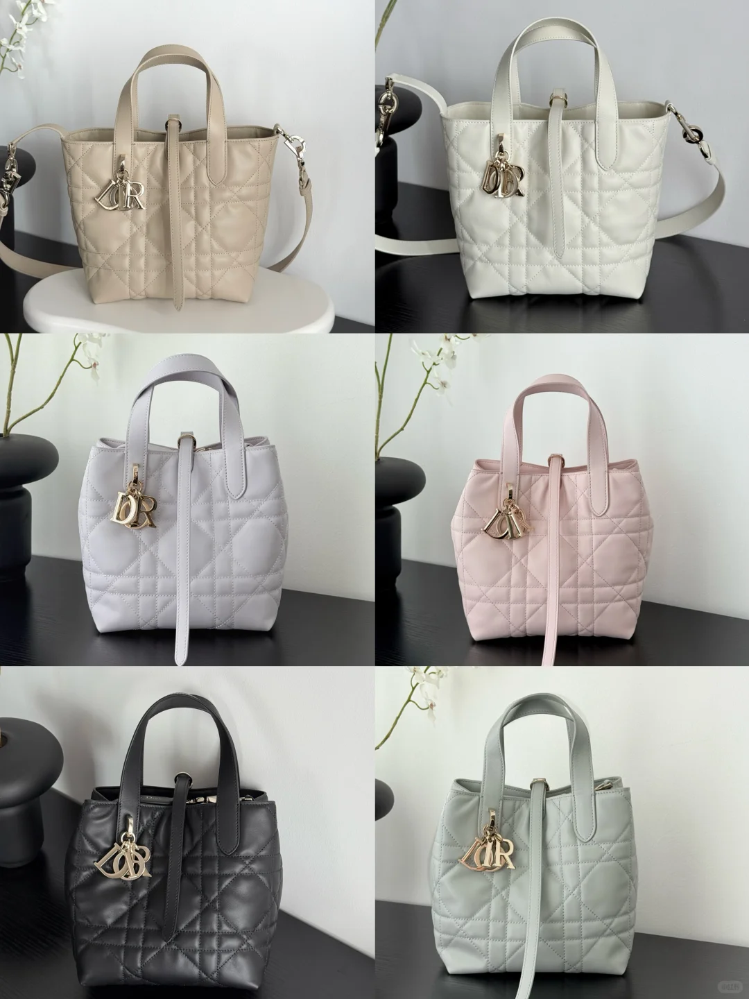 D家 toujours 土著 竖版合集