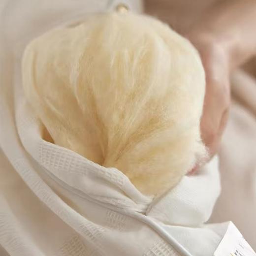 【恐龙厅】B7F丨  恐龙雅致芯柔大豆被-2000g 商品图3
