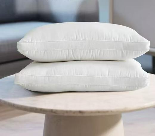 【富安娜】B7F赛娜超纤维1对枕芯 商品图1