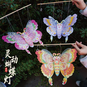 M6-260185 灵动蝴蝶灯