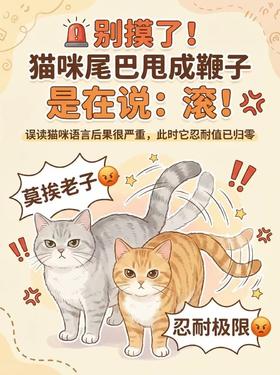 90%的人误会：猫甩尾不是开心