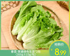 春菜-享通绿色生菜*2包（300g±15g/包） 商品缩略图0