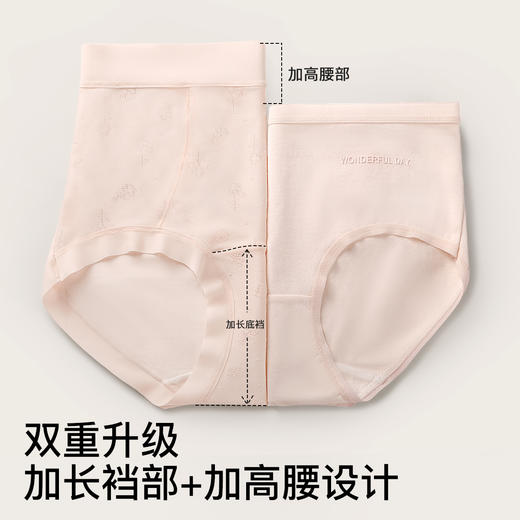 N2-润微新款莫代尔/棉高腰轻收腹4条装裸感轻盈透气纯棉裆女士内裤女  小云舒/云朵棉棉 商品图5