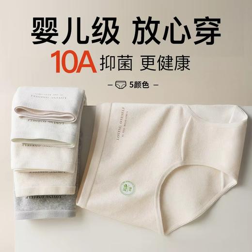 QINGFAN原棉纯棉内裤 商品图2