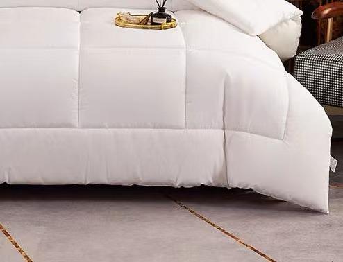 【恐龙厅】B7F丨  恐龙雅致芯柔大豆被-2000g 商品图2