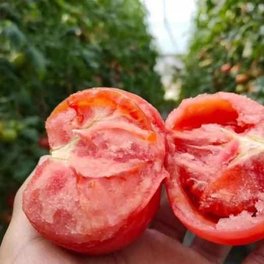 【普罗旺斯西红柿】沙瓤多汁 ！ 商品图2