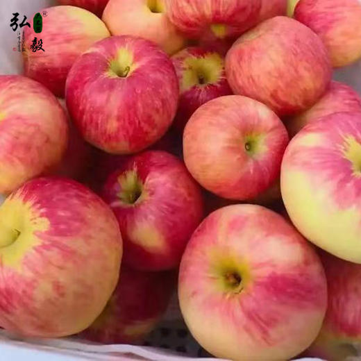 【弘毅六不用生态农场】六不用 弘毅苹果4斤/份 商品图1