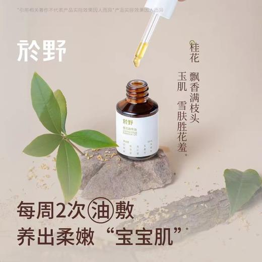 於野金桂花油 30ml天然桂花精华油滋润不油腻面部身体按摩以油养肤环保 bj 商品图0