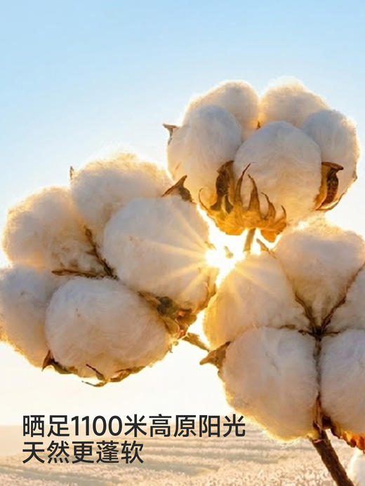 英氏儿童外套男童长袖格子连帽外套春夏休闲百搭新款YRWGJ1S017A 商品图1