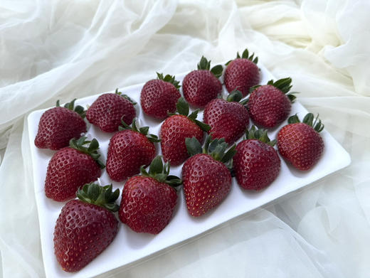 黑珍珠/188包邮 两层装 商品图0