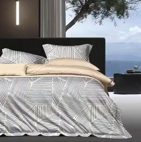 【恐龙厅】B7F丨  恐龙全棉四件套-美拉德