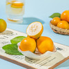 新鲜水果 细腻爆汁脆蜜金柑 250g/盒 商品缩略图3