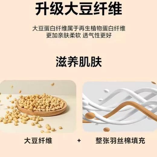 【恐龙厅】B7F丨  恐龙雅致芯柔大豆被-2000g 商品图5