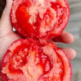 【普罗旺斯西红柿】沙瓤多汁 ！