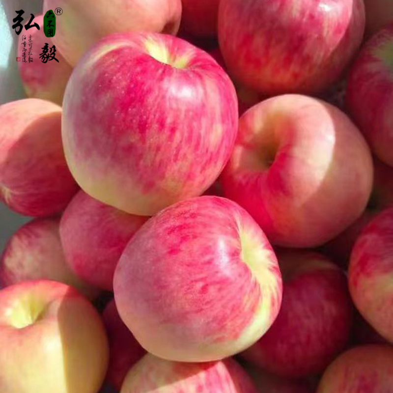 【弘毅六不用生态农场】六不用 弘毅苹果4斤/份