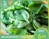 春菜-漳州新鲜枸杞叶（100g±20g/份） 商品缩略图0