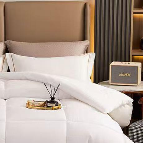 【恐龙厅】B7F丨  恐龙雅致芯柔大豆被-2000g 商品图1