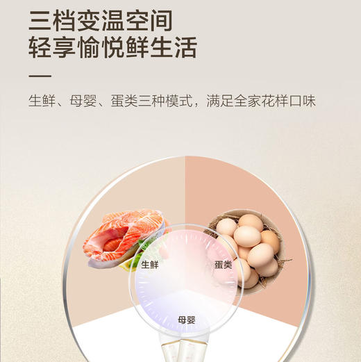 海尔（Haier）冰箱 BCD-500WGHTDEDB7U1 商品图2