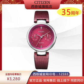 西铁城官方正品不锈钢表壳缎绣皮表带日期星期指示光动能女表 FD1100-10X