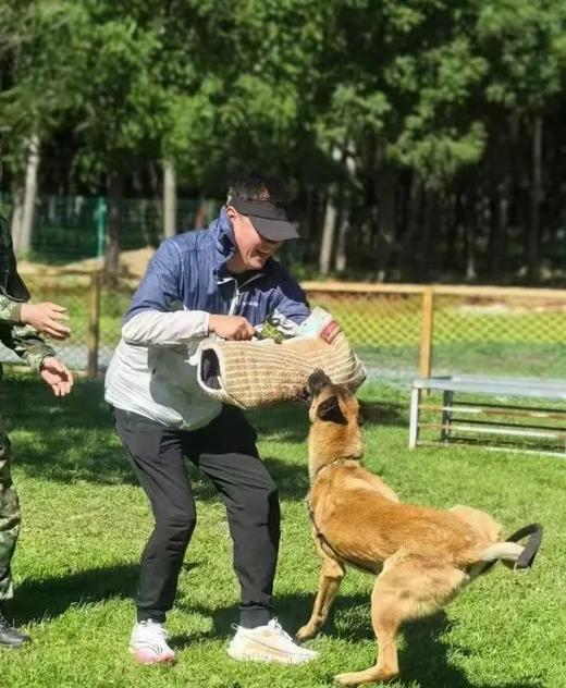 《工作犬少年驯导师》+与警犬并肩战斗+功勋犬纪念+互动科目展示 商品图0