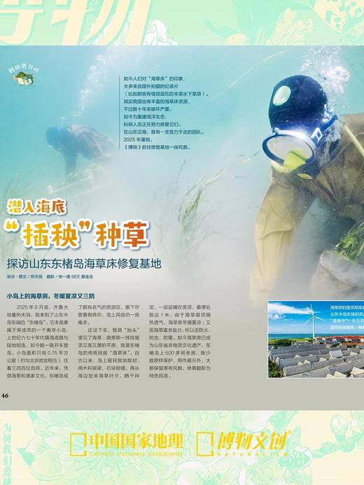 博物杂志 2026年3月刊 桃花 商品图6