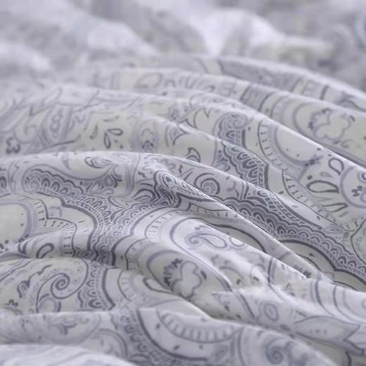 【春上新】10楼宜庭 梅森暖柔波兰进口春秋鹅绒被  吊牌价19800-23800元 活动价3999-4999元 商品图3