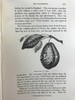 1886年 英国森林树木图鉴 百余幅插图 漆布精装32开 商品缩略图5