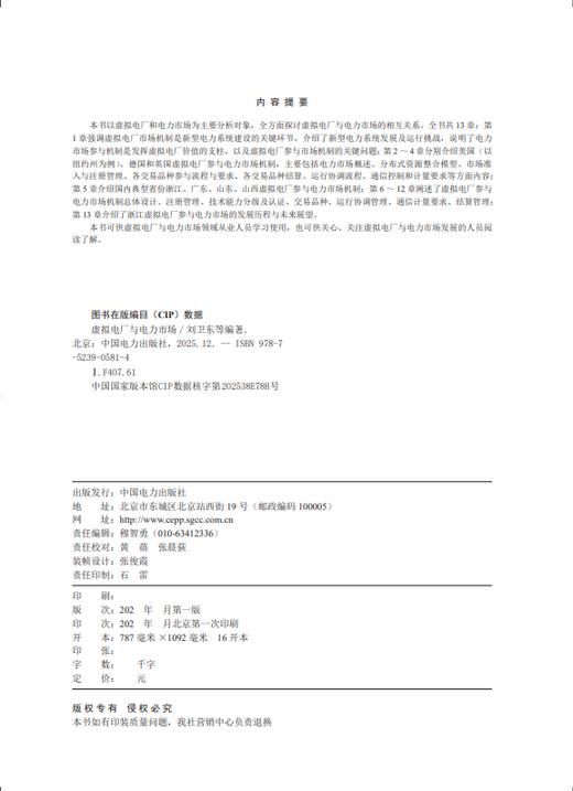 虚拟电厂与电力市场 商品图2