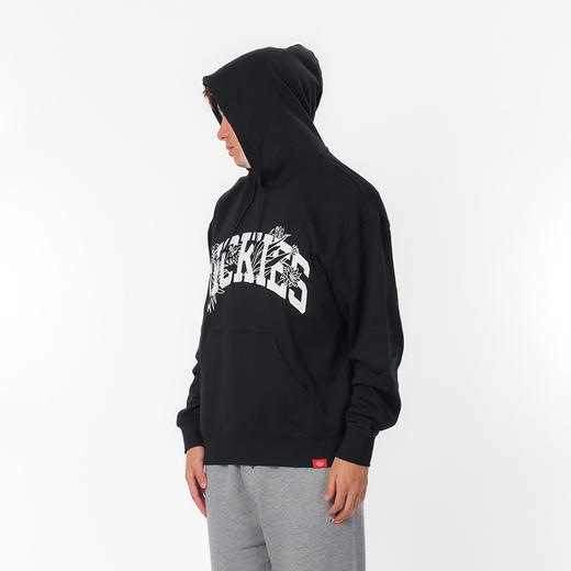 Dickies卫衣 前胸字母印花毛圈布连帽抽绳卫衣 男女情侣 DK0A87CL 商品图7