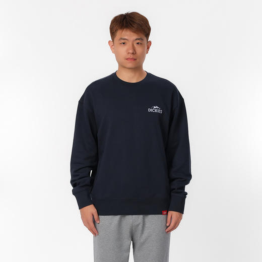 Dickies卫衣 时尚潮流小logo宽松版型纯棉圆领男式卫衣 DK0A87D 商品图1
