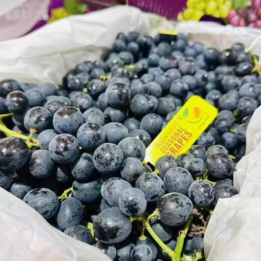 玫瑰香黑提 商品图0