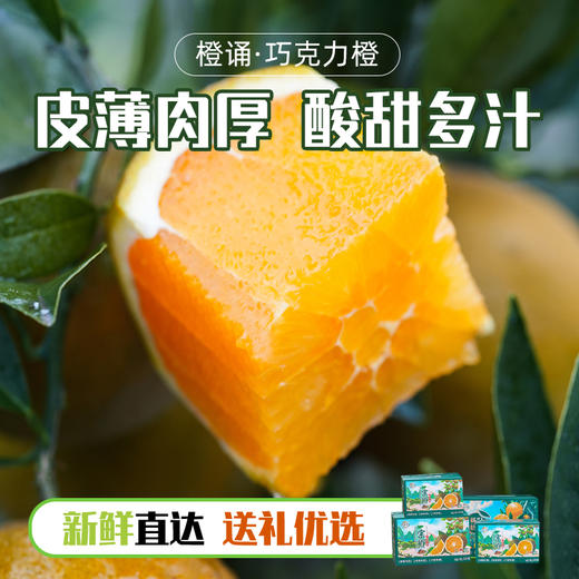 【京东快递】秭归宗橙（巧克力橙）皮薄娇嫩 产量小  14黄金甜 0.3%隐秘酸 100%视觉炸裂 - ACS 商品图9