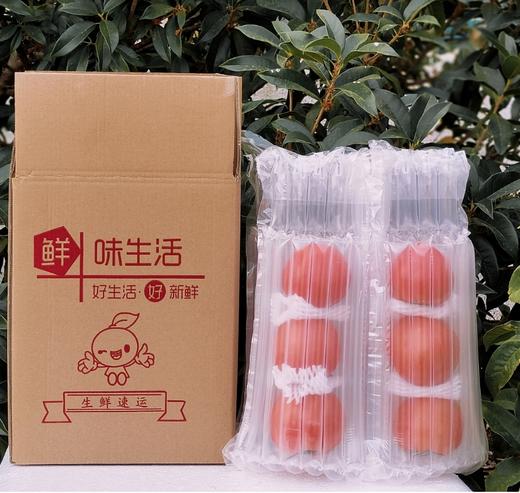 山东普罗旺斯沙瓤西红柿 小时候的味道 现摘现发 净重4.5斤 商品图1