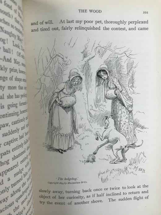 1893年 玛丽·米特福德《我们的村庄》 休·汤姆森100幅插图 漆布精装32开 商品图8