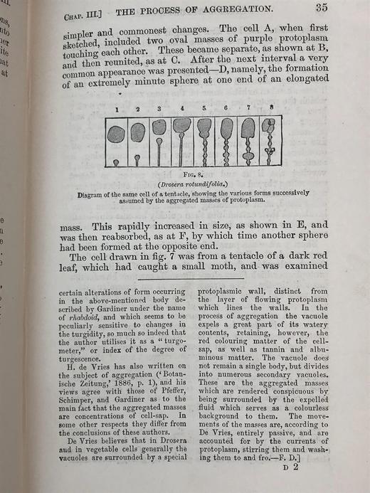 1908年 达尔文《食虫植物》配有插图 漆布精装32开 商品图11