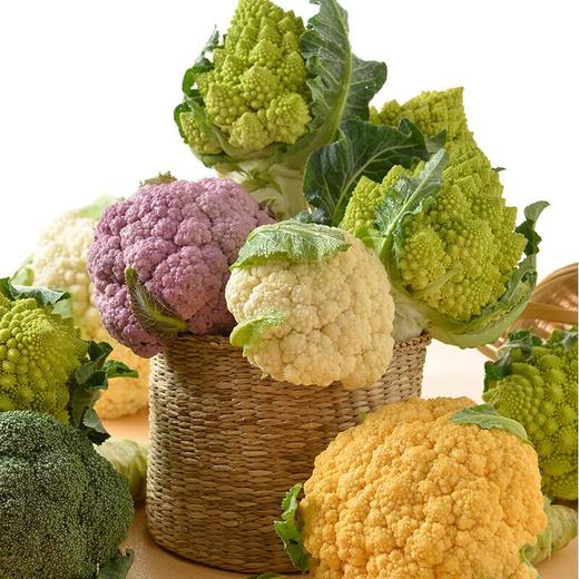 放心嫩嫩菜(橙花菜)200g 商品图2