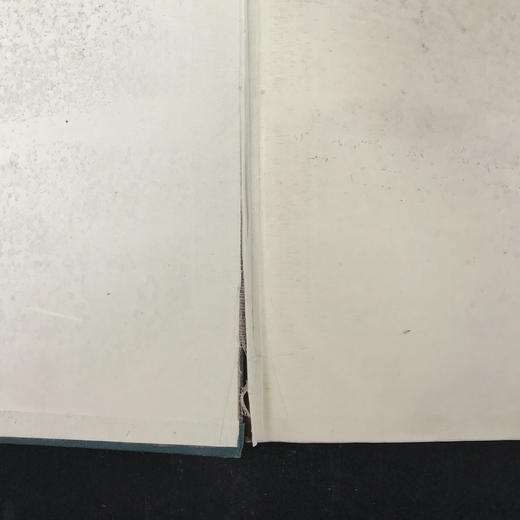 约19世纪后期 狄更斯《匹克威客俱乐部》 菲兹57幅插图 漆布精装18开 商品图2