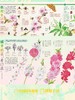 博物杂志 2026年3月刊 桃花 商品缩略图1