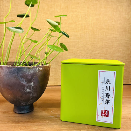 上新特惠！【李师姐私房茶/永川秀芽】重庆本地名茶/2026年头采/干茶甜香入心/胖胖小嫩芽/自饮装（约45g） 商品图2