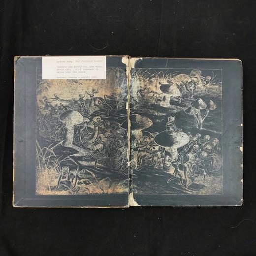 【品相欠佳】约19世纪末 安德鲁·朗格《无名公主：仙境传奇》 理查德·道尔彩色插图 布脊精装18开 商品图2