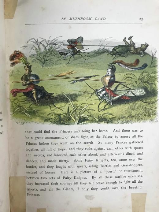 【品相欠佳】约19世纪末 安德鲁·朗格《无名公主：仙境传奇》 理查德·道尔彩色插图 布脊精装18开 商品图11