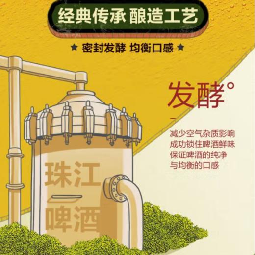 珠江啤酒 9°P纯生 拉环装528ml 商品图3